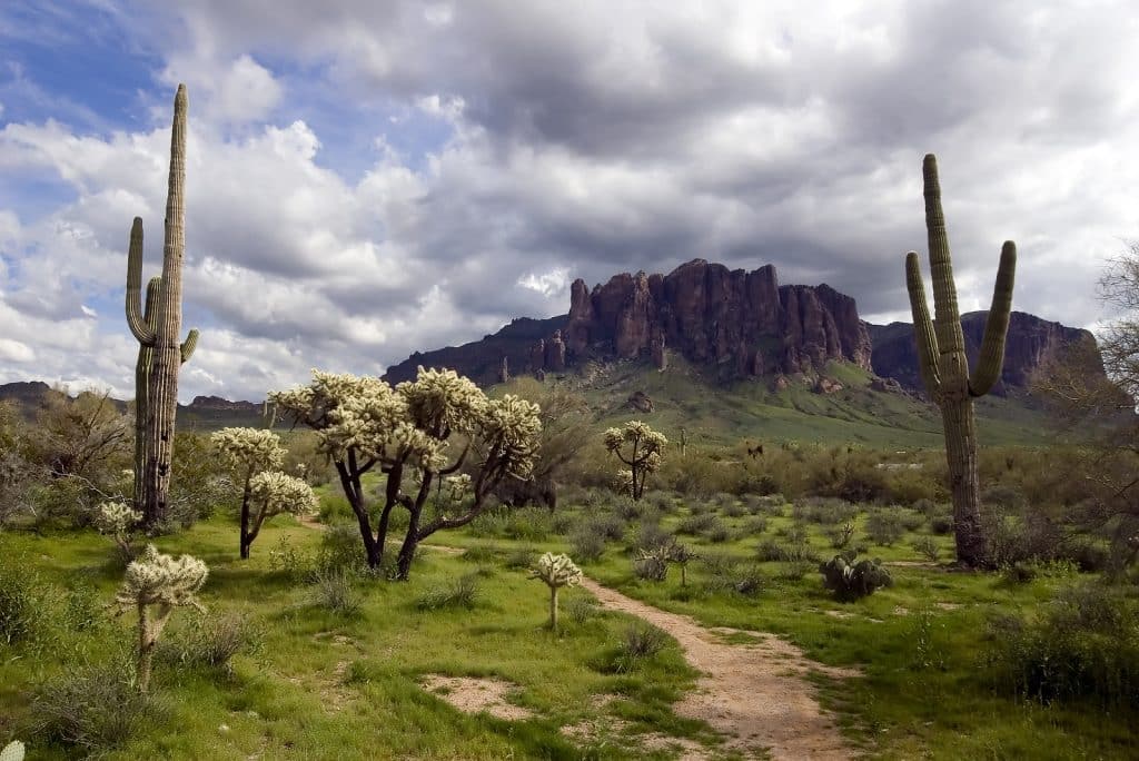 Merritt World Vacations Reviews Destinations for Garden Lovers